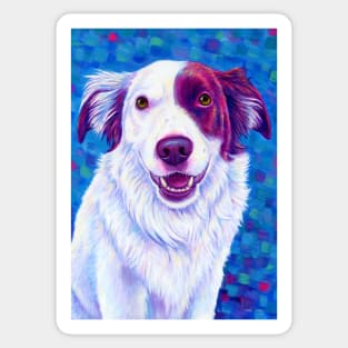 Colorful Red and White Border Collie Dog Sticker